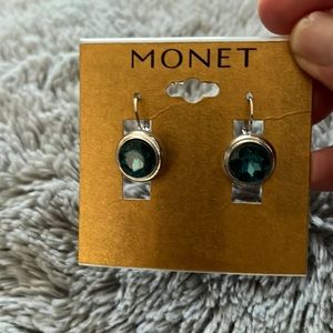 Very pretty blue money earrings for pierced ears